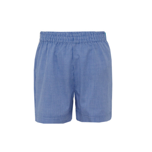 Back to School Gingham Shorts